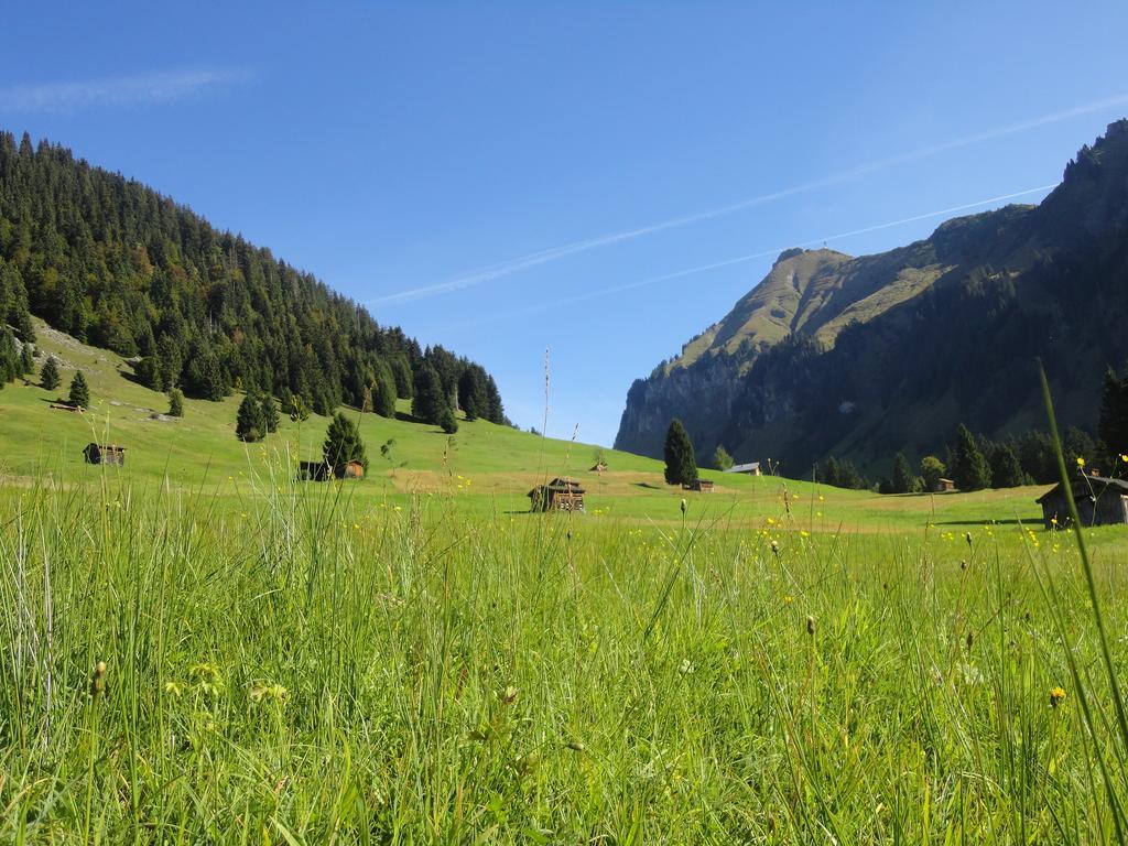 מלון Au (Vorarlberg) Haus Alpina מראה חיצוני תמונה
