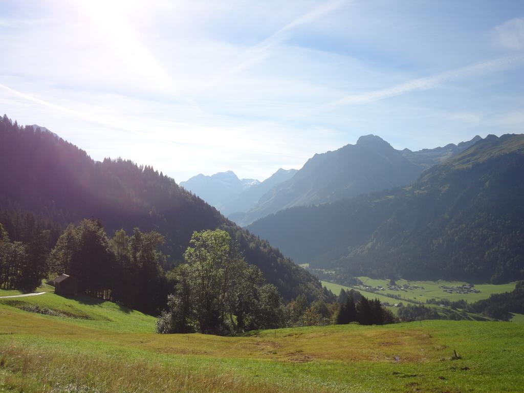 מלון Au (Vorarlberg) Haus Alpina מראה חיצוני תמונה